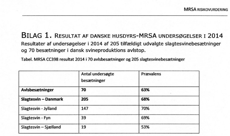Undersøgelsen fra 2014 viste 68 % MRSA-inficerede svine-besætninger.