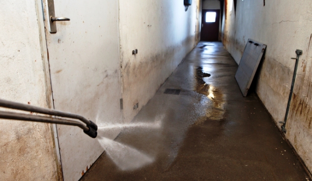 After delivery to the slaughterhouse the stable is flushed with high-pressure.